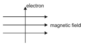 Magnetic Effects of Electric Current