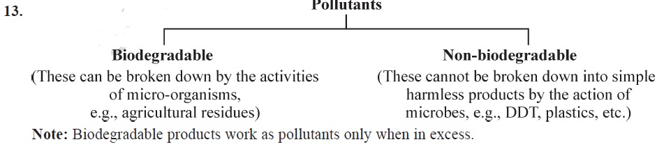 Our Environment