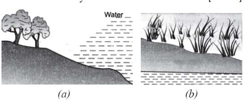 Management of Natural Resoureces