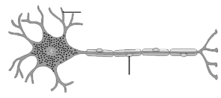 Control and Coordination