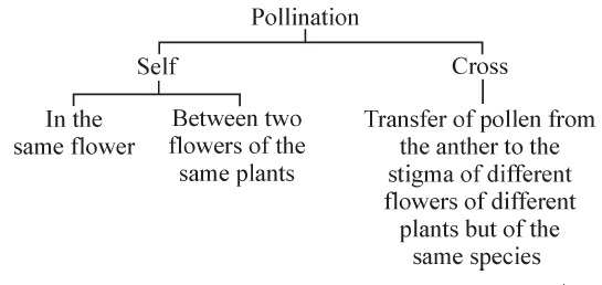 How do Organisms Reproduce