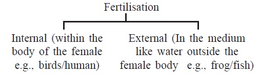 How do Organisms Reproduce