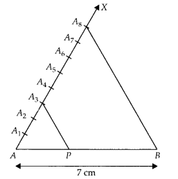 NCERT Exemplar Class 10 Maths Chapter 10 Constructions Ex 10.3 4