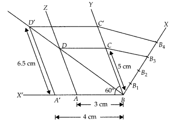 NCERT Exemplar Class 10 Maths Chapter 10 Constructions Ex 10.4 10