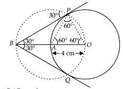 NCERT Exemplar Class 10 Maths Chapter 10 Constructions Ex 10.4 17