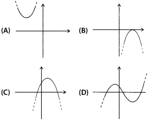 NCERT Exemplar Class 10 Maths Chapter 2 Polynomials Ex 2.1 Q11