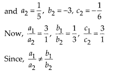 NCERT Exemplar Class 10 Maths Chapter 3 Pair of Linear Equations in Two Variables Ex 3.2 Q3.2