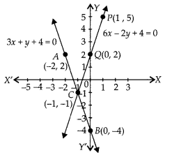 NCERT Exemplar Class 10 Maths Chapter 3 Pair of Linear Equations in Two Variables Ex 3.3 Q11.2