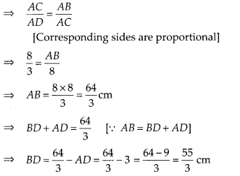 NCERT Exemplar Class 10 Maths Chapter 6 Triangles Ex 6.3 Q13.1