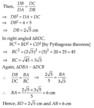 NCERT Exemplar Class 10 Maths Chapter 6 Triangles Ex 6.4 Q9.1