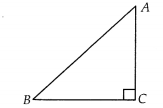 NCERT Exemplar Class 10 Maths Chapter 8 Introduction to Trigonometry and Its Applications Ex 8.1 9