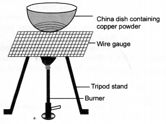 HOTS Questions for Class 10 Science Chapter 1 Chemical Reactions and Equations image - 1