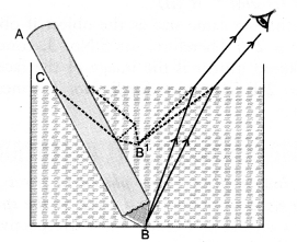 HOTS Questions for Class 10 Science Chapter 10 Light Reflection and Refraction image - 7