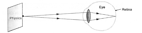 HOTS Questions for Class 10 Science Chapter 11 Human Eye and Colourful World image - 2