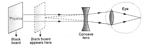 HOTS Questions for Class 10 Science Chapter 11 Human Eye and Colourful World image - 3