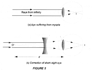 HOTS Questions for Class 10 Science Chapter 11 Human Eye and Colourful World image - 7