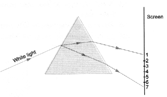 HOTS Questions for Class 10 Science Chapter 11 Human Eye and Colourful World image - 9