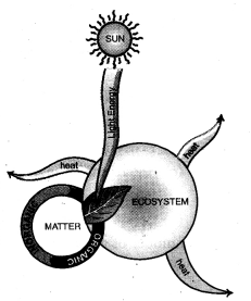 HOTS Questions for Class 10 Science Chapter 15 Our Environment image - 1