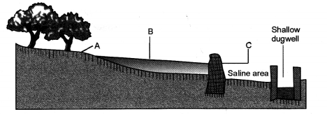 HOTS Questions for Class 10 Science Chapter 16 Management of Natural Resources image - 1