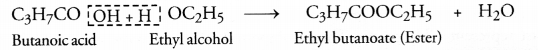 HOTS Questions for Class 10 Science Chapter 4 Carbon and Its Compounds image - 10