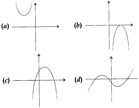 MCQ Questions for Class 10 Maths Polynomials with Solutions 4