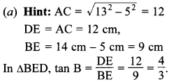 MCQ Questions for Class 10 Maths Introduction to Trigonometry with Answers 23