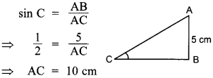 MCQ Questions for Class 10 Maths Introduction to Trigonometry with Answers 24