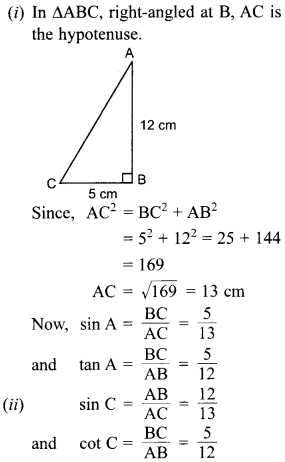 MCQ Questions for Class 10 Maths Introduction to Trigonometry with Answers 26