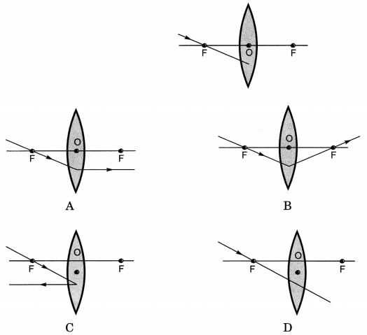 MCQ Questions for Class 10 Science Chapter 10 Light Reflection and Refraction with Answers 7