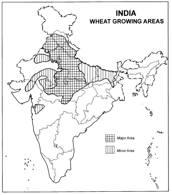 Class 10 Geography Chapter 4 Extra Questions and Answers Agriculture 3