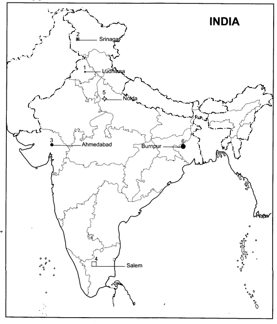 Class 10 Geography Chapter 6 Extra Questions and Answers Manufacturing Industries 6