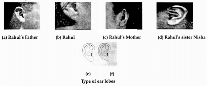 CBSE Sample Papers for Class 10 Science Set 1 with Solutions 12