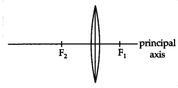 CBSE Sample Papers for Class 10 Science Set 1 with Solutions 14