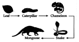 CBSE Sample Papers for Class 10 Science Set 1 with Solutions 5