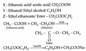 CBSE Sample Papers for Class 10 Science Set 1 with Solutions 9