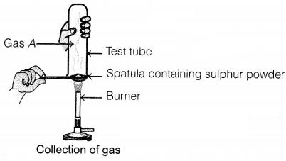 CBSE Sample Papers for Class 10 Science Set 4 with Solutions Q1