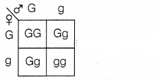 CBSE Sample Papers for Class 10 Science Set 4 with Solutions Q29.1