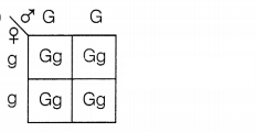 CBSE Sample Papers for Class 10 Science Set 4 with Solutions Q29