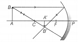 CBSE Sample Papers for Class 10 Science Set 4 with Solutions Q31.1