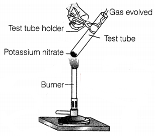 CBSE Sample Papers for Class 10 Science Set 11 with Solutions Q1