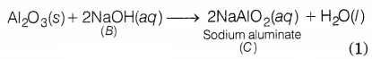 CBSE Sample Papers for Class 10 Science Set 11 with Solutions Q21.1