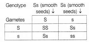 CBSE Sample Papers for Class 10 Science Set 11 with Solutions Q23