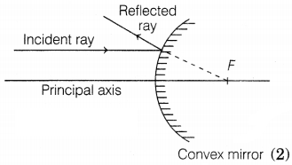 CBSE Sample Papers for Class 10 Science Set 11 with Solutions Q25