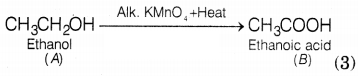 CBSE Sample Papers for Class 10 Science Set 11 with Solutions Q27