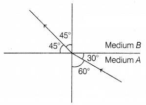 CBSE Sample Papers for Class 10 Science Set 11 with Solutions Q31