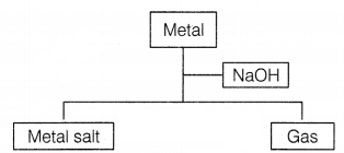 CBSE Sample Papers for Class 10 Science Set 10 with Solutions Q1