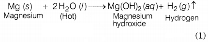 CBSE Sample Papers for Class 10 Science Set 10 with Solutions Q27.1