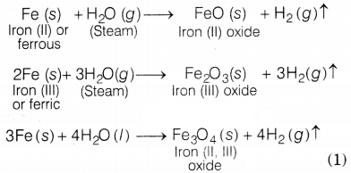 CBSE Sample Papers for Class 10 Science Set 10 with Solutions Q27.2