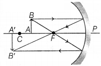 CBSE Sample Papers for Class 10 Science Set 10 with Solutions Q39.1