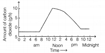 CBSE Sample Papers for Class 10 Science Set 10 with Solutions Q9